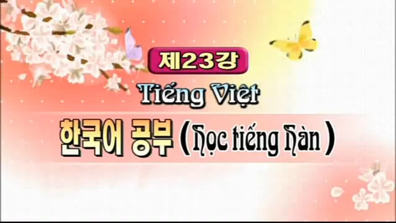 23. 한국어 공부 Học tiếng Hàn